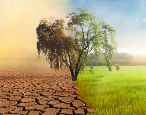 Module 3: Climate Change  Self-awareness and paradoxes of climate footprint: mine, yours, ours… and all’s