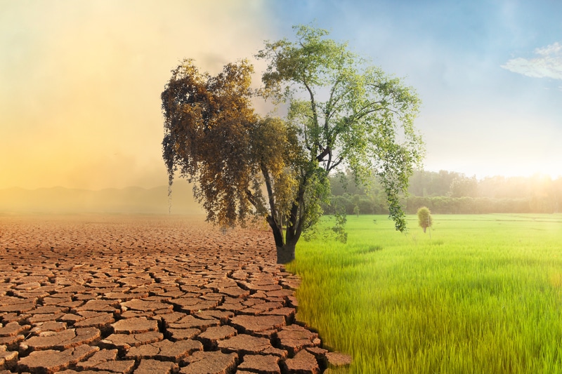 Module 3 Climate change